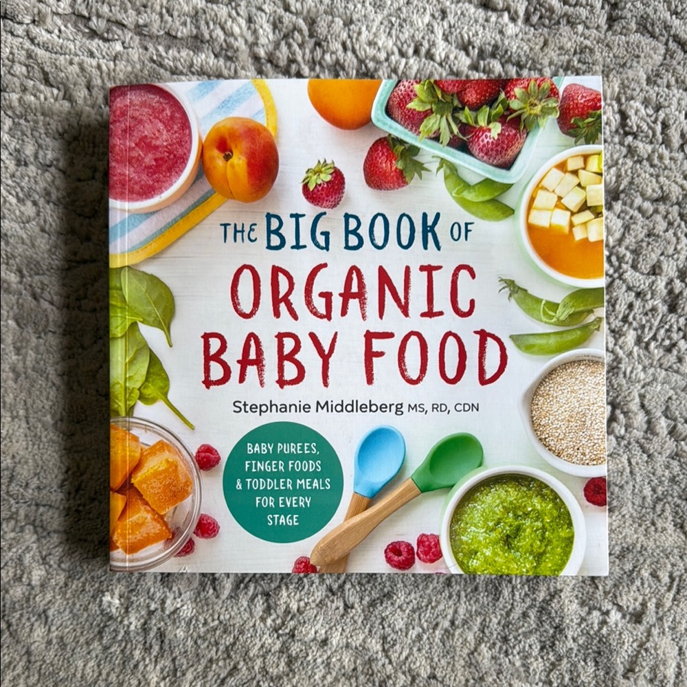 The Big Book of Organic Baby Food